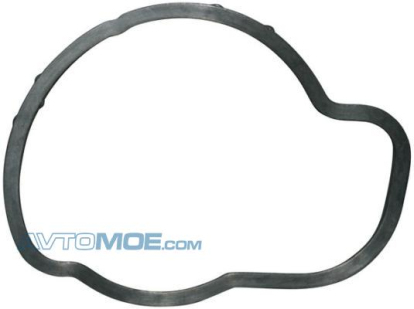 Прокладка термостата 1214550300 JP Group (фото №1)